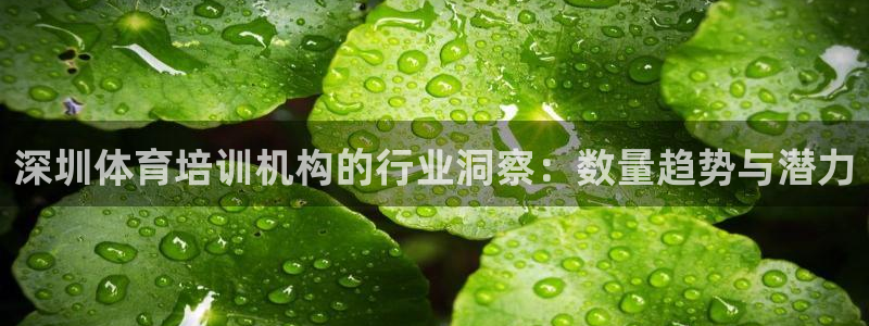 尊龙凯时 人生就是搏：深圳体育培训机构的行业洞察：数