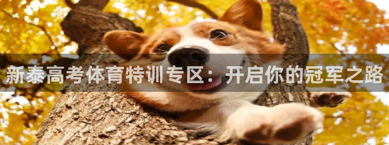 尊龙-人生就是博!：新泰高考体育特训专区：开启你的冠