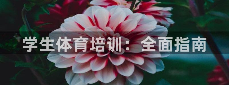 尊龙AG旗舰店：学生体育培训：全面指南