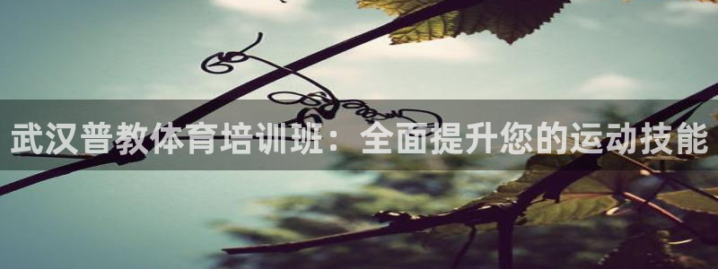 尊龙凯时是哪个国家的：武汉普教体育培训班：全面提升您