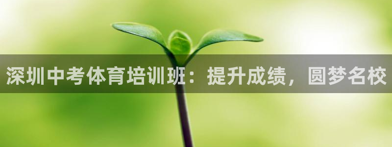 尊龙ag：深圳中考体育培训班：提升成绩，圆梦名校