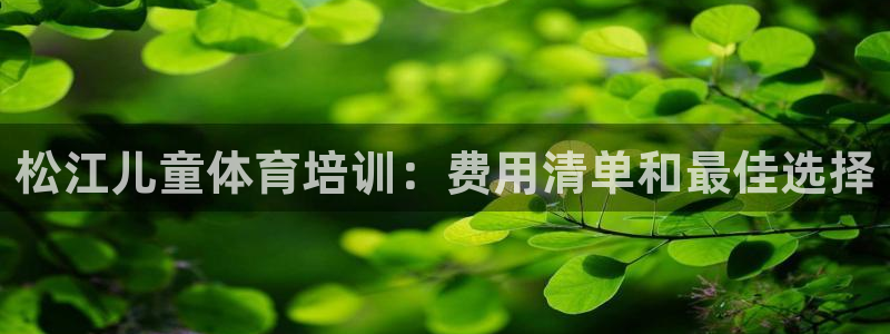 凯时官网手机版首页：松江儿童体育培训：费用清单和最佳