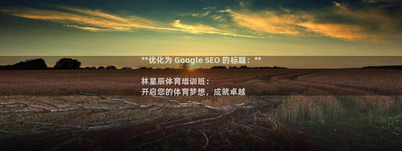 Z6尊龙官网入口：**优化为 Google SEO 