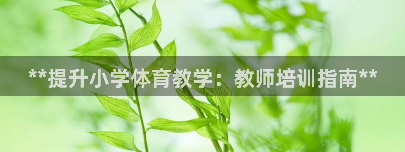 凯时官网手机版首页：**提升小学体育教学：教师培训指