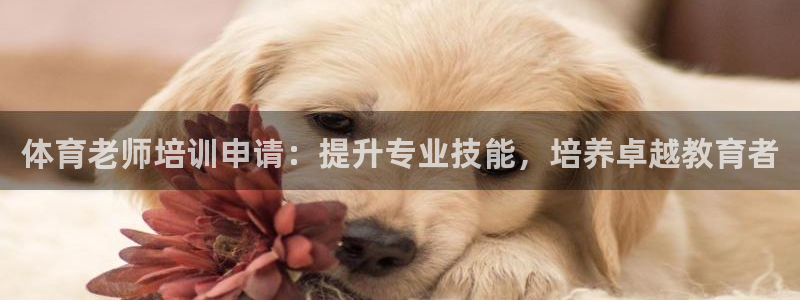 尊龙凯时总部在哪里：体育老师培训申请：提升专业技能，