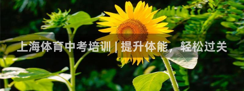 尊龙app登录不了：上海体育中考培训 | 提升体能，