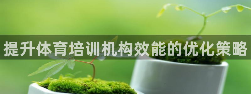 凯时游戏app：提升体育培训机构效能的优化策略
