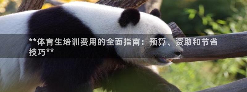 尊龙凯时官网入口：**体育生培训费用的全面指南：预算