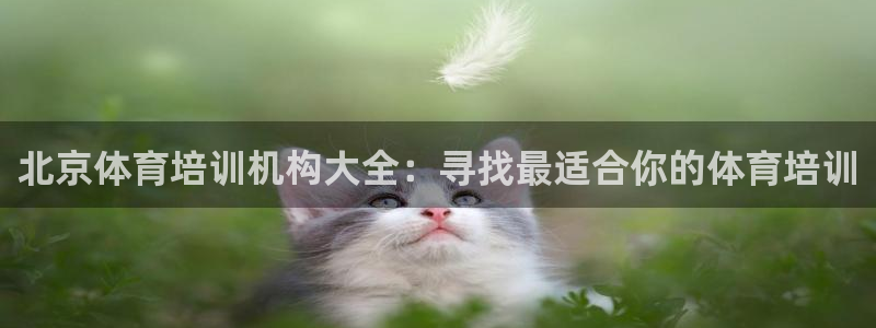 尊龙凯时下载官方正版：北京体育培训机构大全：寻找最适