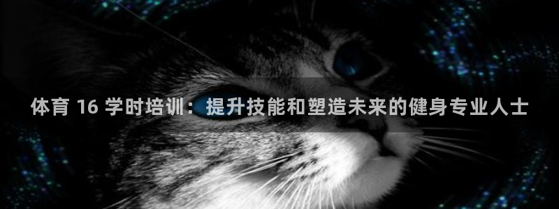 尊龙am i blue：体育 16 学时培训：提升技