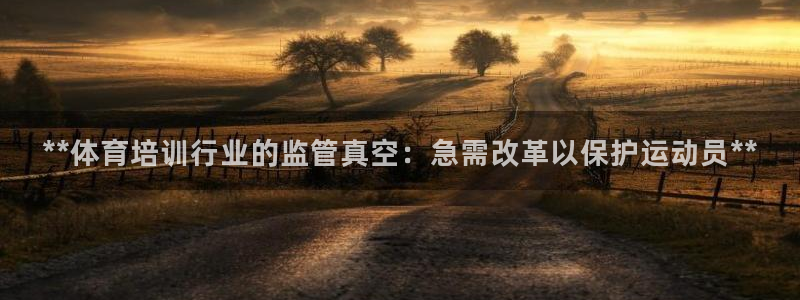 凯时kb88公司简介：**体育培训行业的监管真空：急
