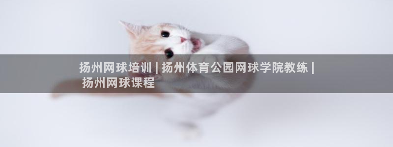 尊龙版末代皇帝：扬州网球培训 | 扬州体育公园网球学