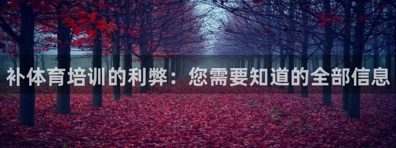 尊龙凯时是大平台吗：补体育培训的利弊：您需要知道的全