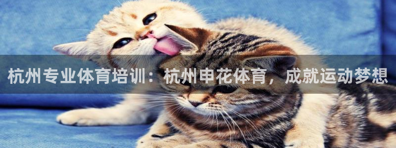 尊龙集团有限公司地址：杭州专业体育培训：杭州申花体育