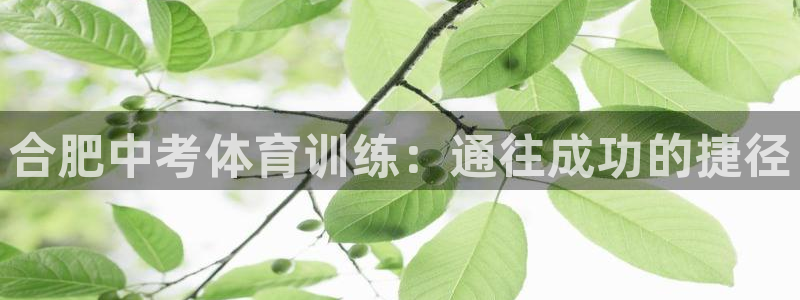 尊龙人品怎么样：合肥中考体育训练：通往成功的捷径