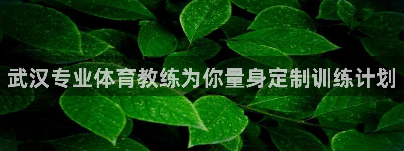 尊龙官网下载：武汉专业体育教练为你量身定制训练计划