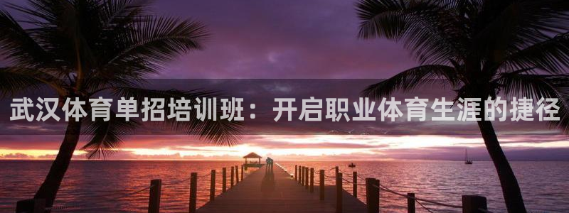 尊龙凯时提款冻卡吗：武汉体育单招培训班：开启职业体育