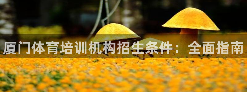 尊龙app官网登录：厦门体育培训机构招生条件：全面指
