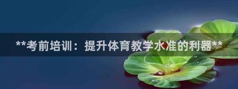 尊龙凯时ag旗舰厅官网客服：**考前培训：提升体育教