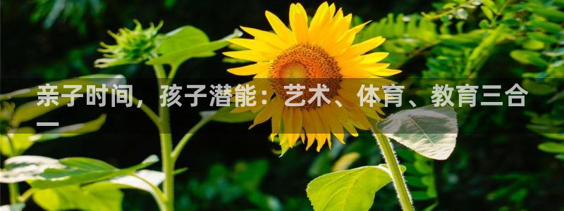 凯时kb88kb88：亲子时间，孩子潜能：艺术、体育