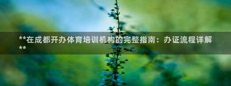 z6尊龙官网：**在成都开办体育培训机构的完整指南：
