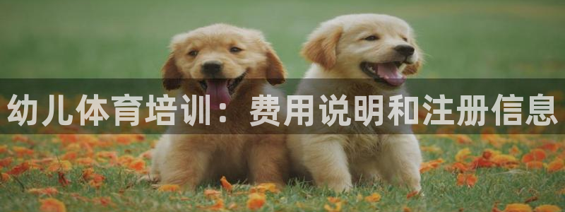 凯时国际app首页下载：幼儿体育培训：费用说明和注册