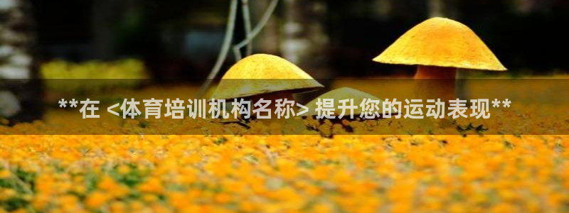 尊龙凯时合法吗?：**在 <体育培训机构名称> 提升