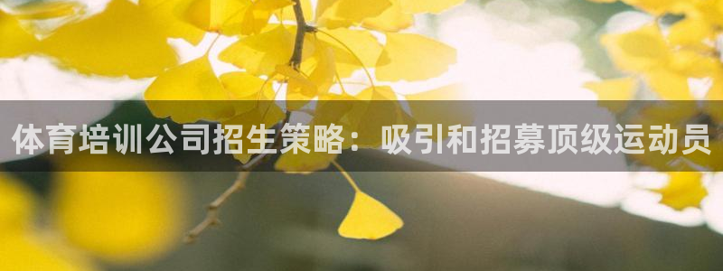 尊龙凯时ag旗舰厅官方网站：体育培训公司招生策略：吸