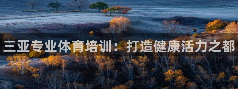 尊龙凯时官网网址：三亚专业体育培训：打造健康活力之都