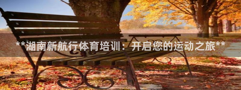 尊龙d88官网登录：**湖南新航行体育培训：开启您的