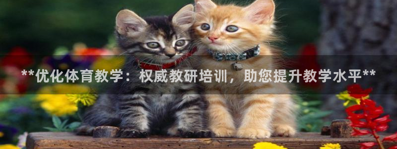 d88尊龙官网手机app：**优化体育教学：权威教研