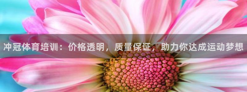 尊龙500价格：冲冠体育培训：价格透明，质量保证，助