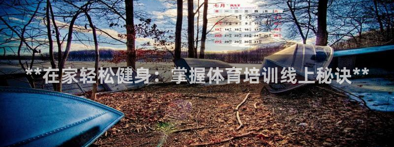 尊龙凯时官网网页版：**在家轻松健身：掌握体育培训线