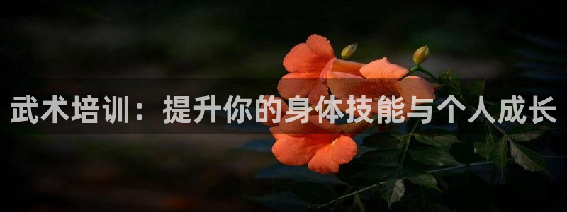 尊龙凯时app官方网站：武术培训：提升你的身体技能与