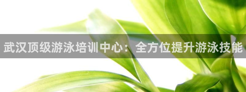 尊龙凯时手机版·(中国)官方网站：武汉顶级游泳培训中