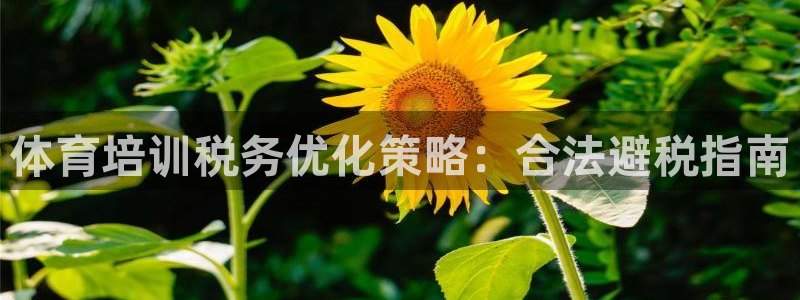 尊龙集团有限公司是国企吗：体育培训税务优化策略：合法