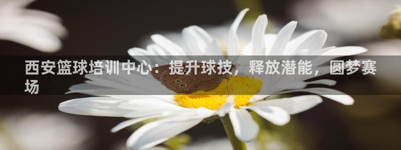 尊龙人生就要博旧版：西安篮球培训中心：提升球技，释放