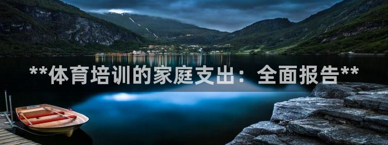 尊龙体育怎么样：**体育培训的家庭支出：全面报告**
