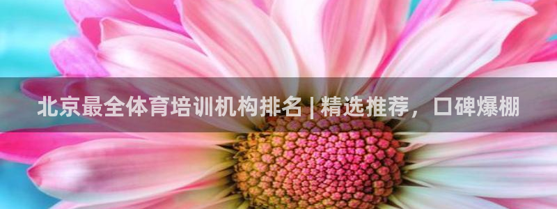 凯时官网手机版下载：北京最全体育培训机构排名 | 精