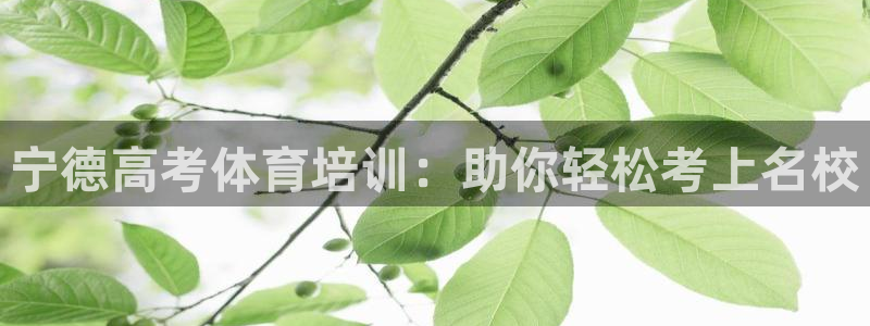 尊龙网站注册站注册：宁德高考体育培训：助你轻松考上名
