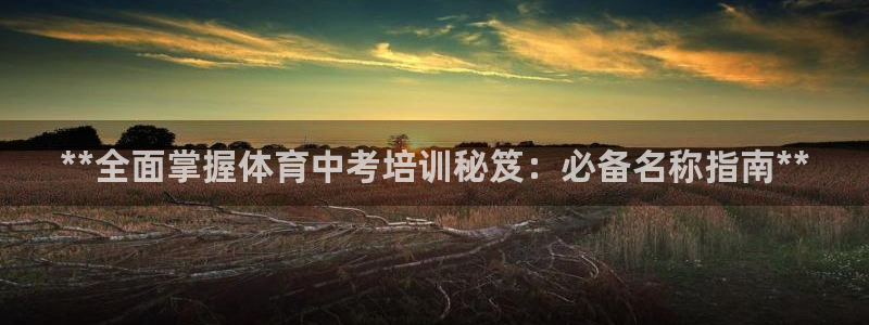 尊龙人生就是博AG：**全面掌握体育中考培训秘笈：必