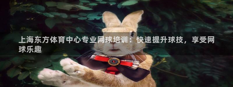 ag尊龙凯时俱乐部：上海东方体育中心专业网球培训：快