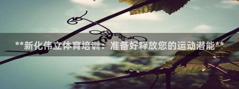 尊龙凯时人生就是搏包装优势：**新化伟立体育培训：准