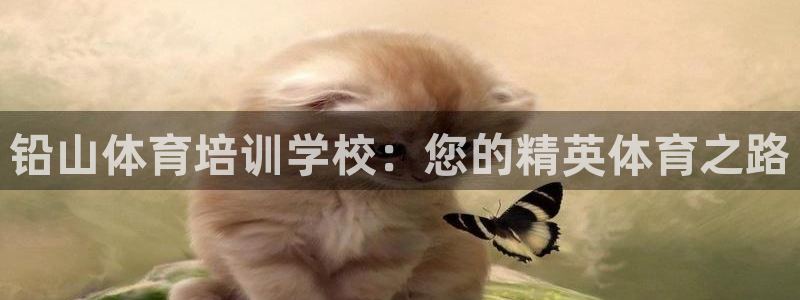 尊龙人生就是博菲律宾台子：铅山体育培训学校：您的精英