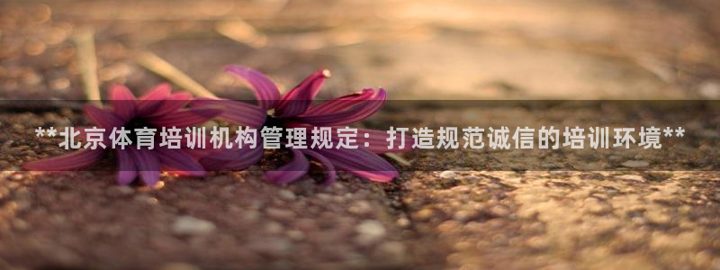 尊龙集团有限公司是国企吗：**北京体育培训机构管理规