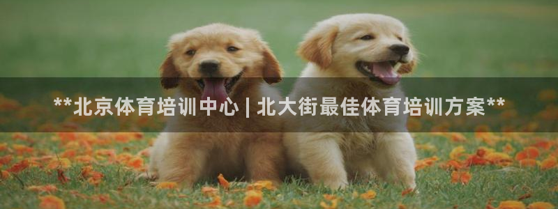 尊龙 10：**北京体育培训中心 | 北大街最佳体育