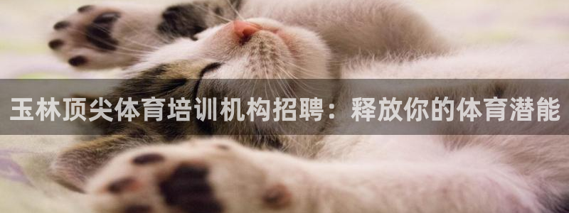 尊龙登录地址：玉林顶尖体育培训机构招聘：释放你的体育