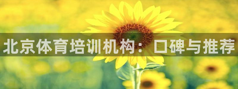 尊龙凯时取款不成功：北京体育培训机构：口碑与推荐