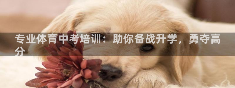 尊龙凯时 - 人生就是搏手机登录：专业体育中考培训：