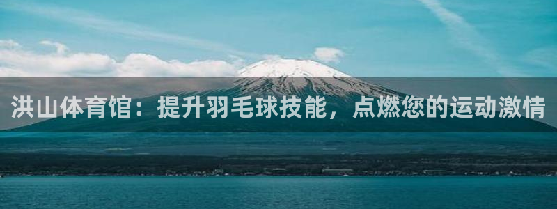 凯时ag旗舰厅网址是什么：洪山体育馆：提升羽毛球技能